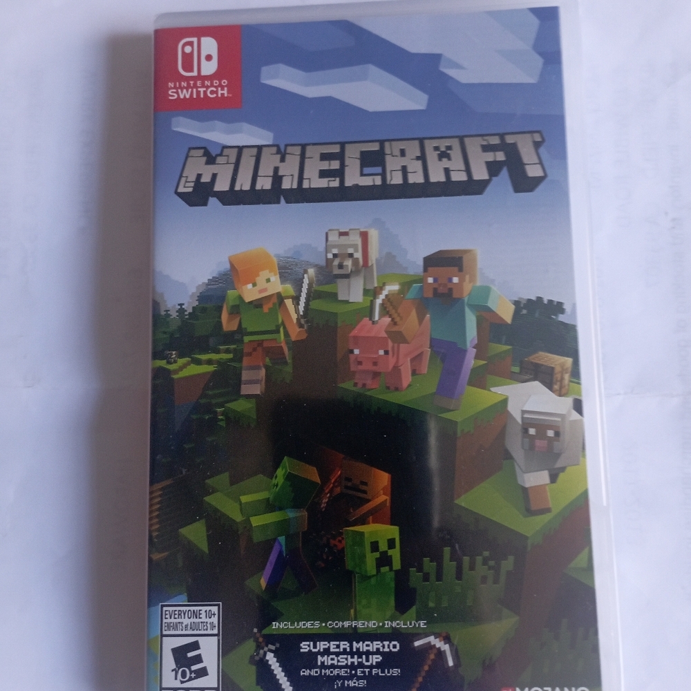 Nintendo Minecraft switch game